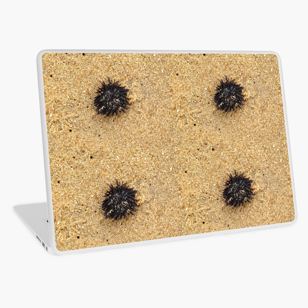 Urchin. Black urchin Laptop Skin