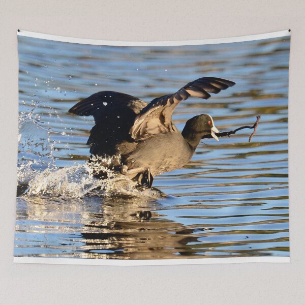 Item preview, coot nesting, urgently designed and sold by nadine henley.