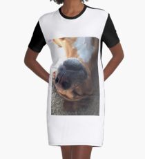 Max Graphic T-Shirt Dress