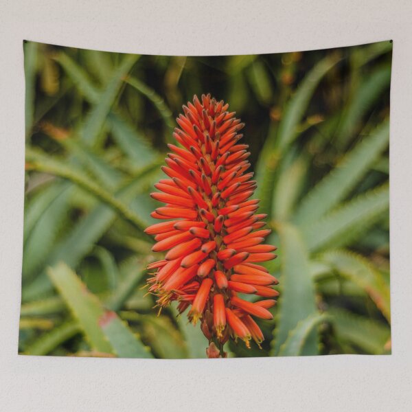 Item preview, Aloe Vera flower designed and sold by ilovethenight.