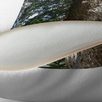 Alternate view of An old tree Throw Pillow