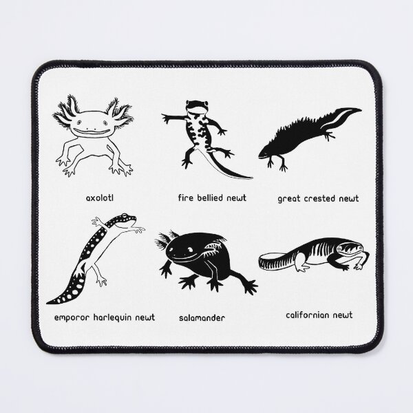 Item preview, Newts  designed and sold by Marijonesdesign.