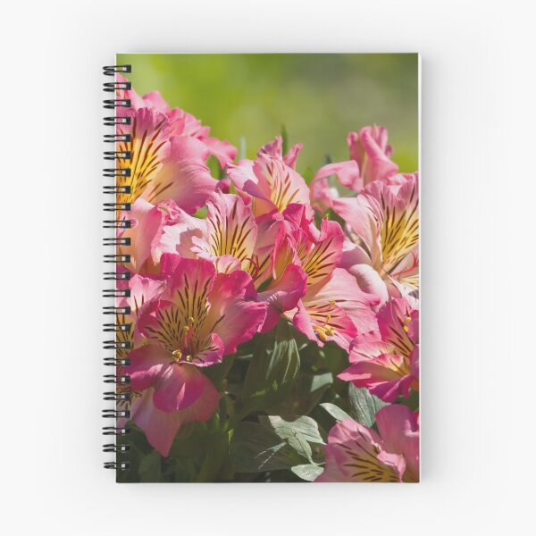 Item preview, Peruvian Lily Pink designed and sold by rmyerphoto.