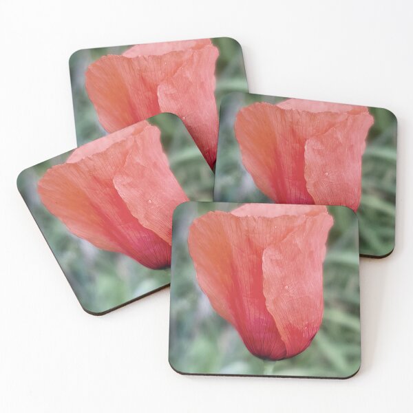 Item preview, Fragile Extravagance #1 - Poppy Flower designed and sold by AHA-flowers.