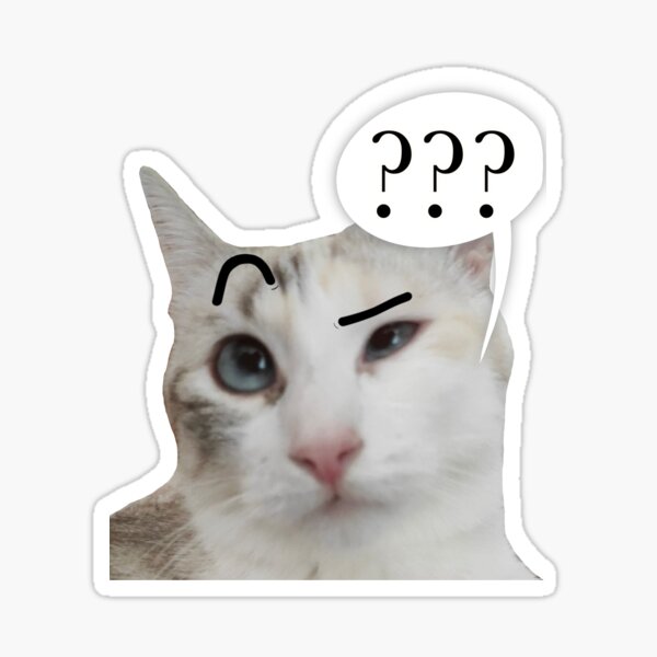 Seriously? 😼 Suspicous Felini Kitty Cat Emoji Sticker Raised Eyebrow