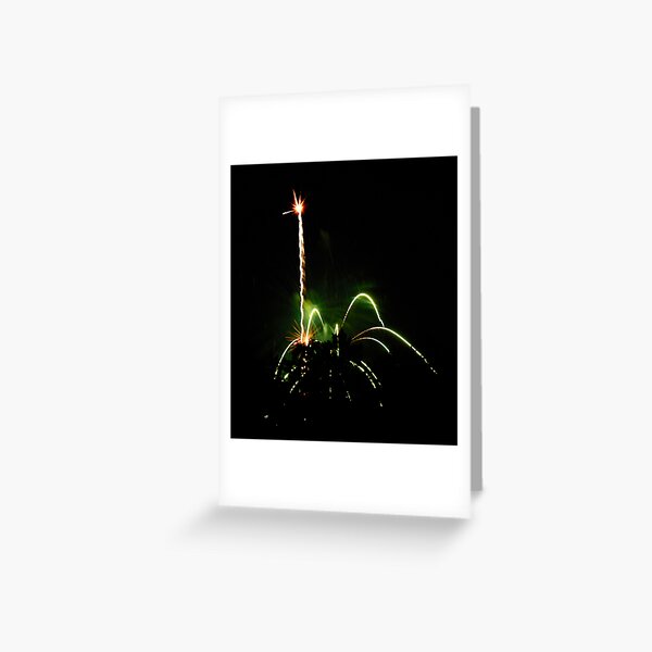 Fireworks - Ostrich Greeting Card