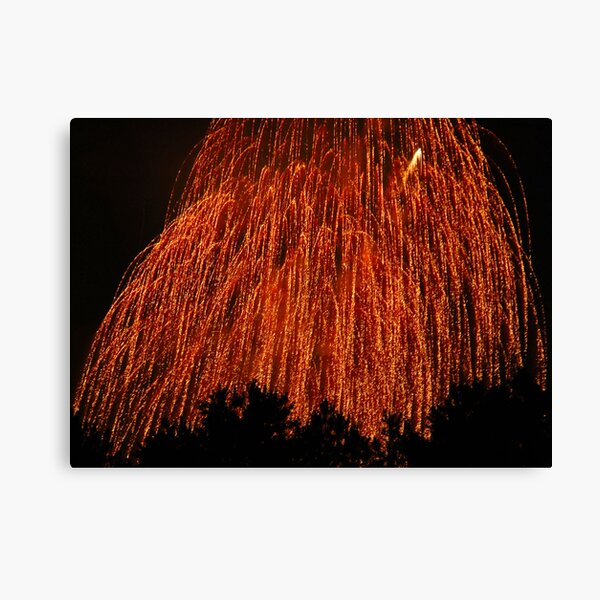 Fireworks - Weeping Willow Canvas Print