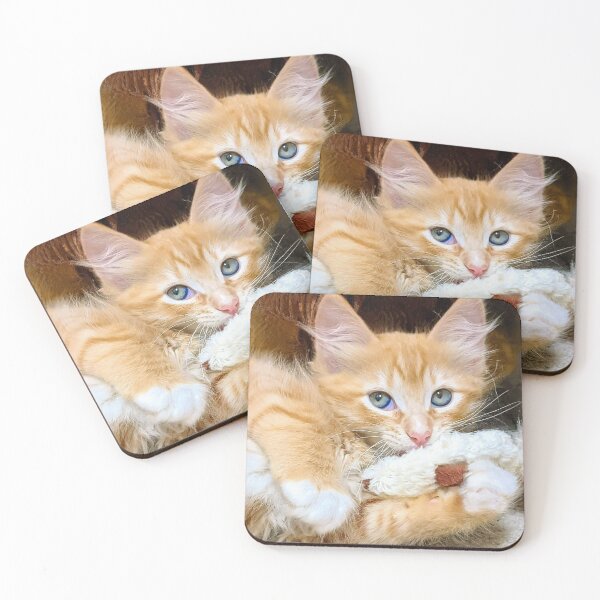 Item preview, Funny cute ragdoll Maine coon kitten designed and sold by Fluffycat2020.