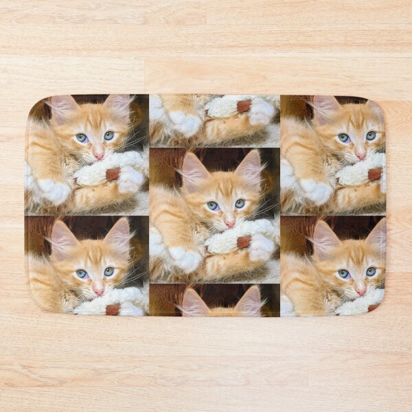 Item preview, Funny cute ragdoll Maine coon kitten designed and sold by Fluffycat2020.