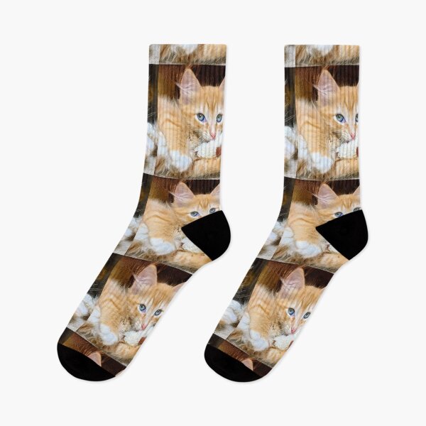 Item preview, Funny cute ragdoll Maine coon kitten designed and sold by Fluffycat2020.