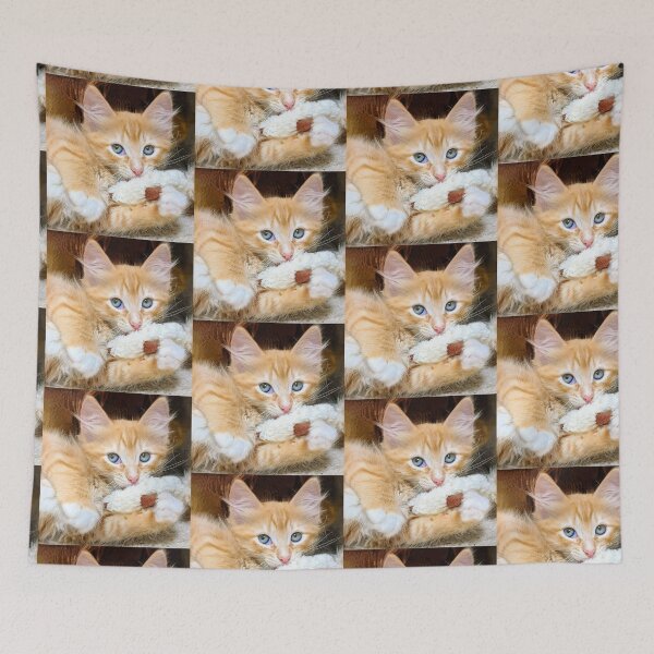 Item preview, Funny cute ragdoll Maine coon kitten designed and sold by Fluffycat2020.