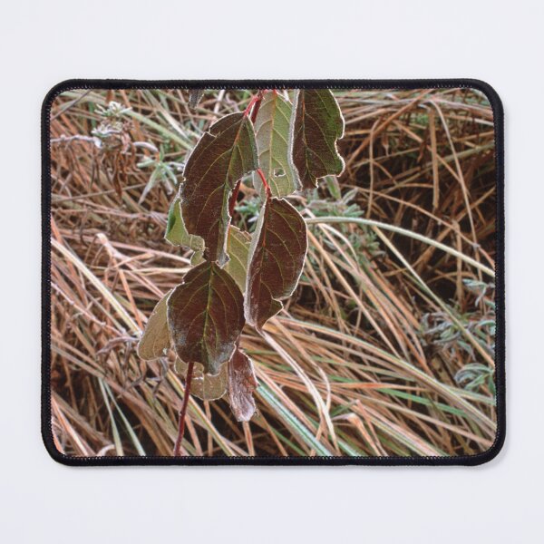 Item preview, Frosty Leaves designed and sold by Bill Spengler's Photographic Thoughts.