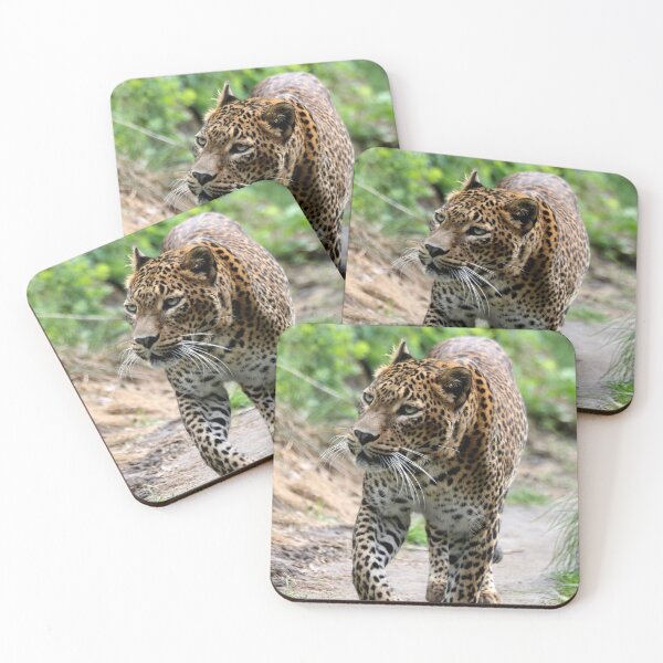 Item preview, Panther designed and sold by cuprum.