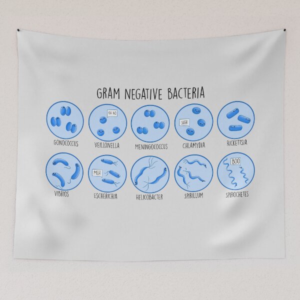 Item preview, Gram Negative Bacteria  designed and sold by MorvernDesigns.