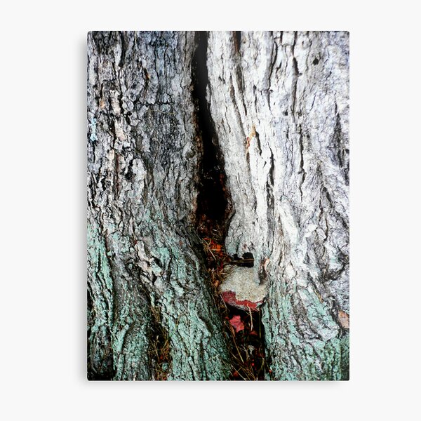 Digging in. Metal Print