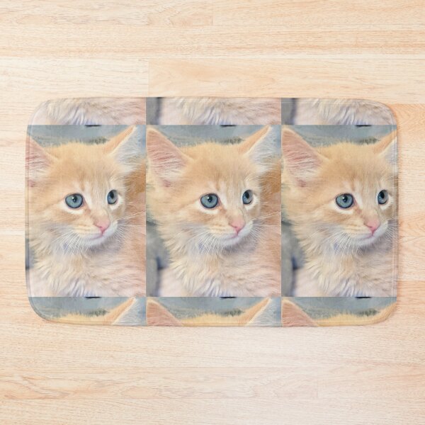 Item preview, Funny cute ragdoll Maine coon kitten designed and sold by Fluffycat2020.