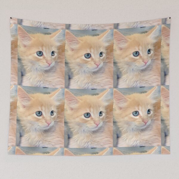Item preview, Funny cute ragdoll Maine coon kitten designed and sold by Fluffycat2020.