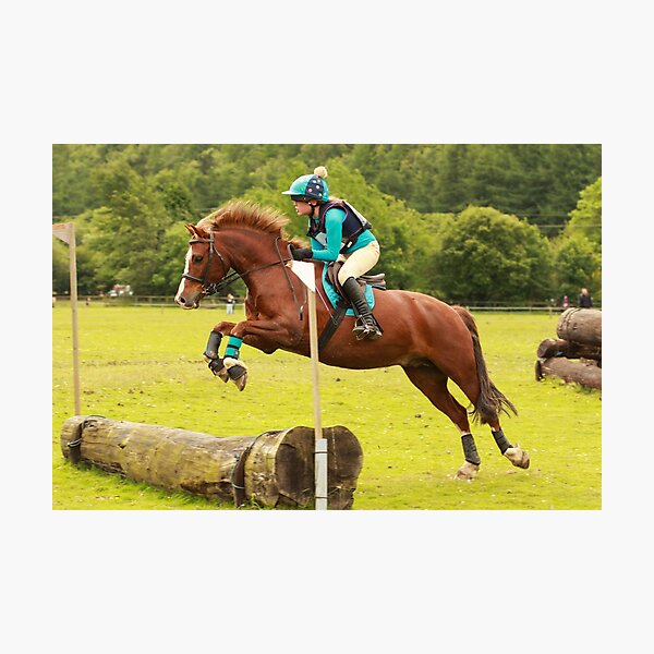 Brandy at Hunter Trials, 4th June 2017 Photographic Print
