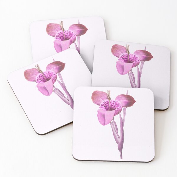 Item preview, Mexican Shell Flower, Alternative Illustration - Pink Rose designed and sold by DaphneKstudio .