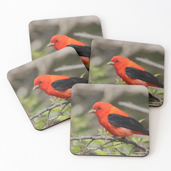 Item preview, Scarlet Tanager    |    Nature designed and sold by RedHandedOD.