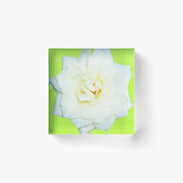 Item preview, 125599921 designed and sold by RealFlower.