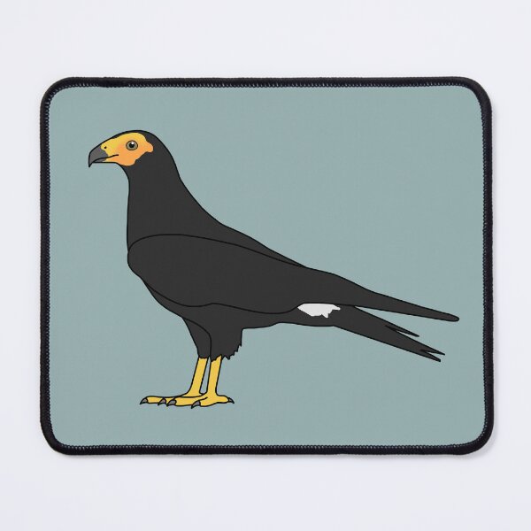 Item preview, Black Caracara designed and sold by taylorrowan.
