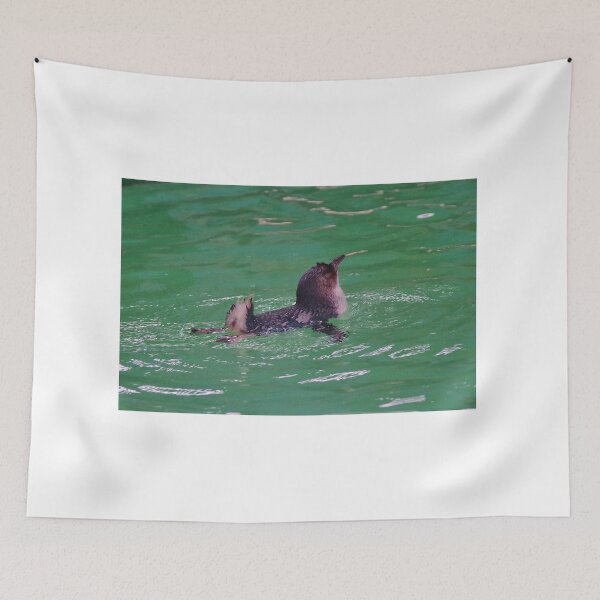 Item preview, Pequeño pingüino - eudyptua minor - Penguin Island, WA designed and sold by lezvee.