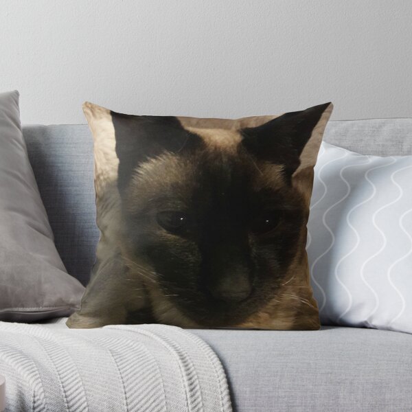 Fun kitty Throw Pillow