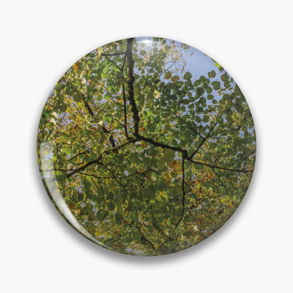 Item preview, Autumn foliage designed and sold by Arc1.