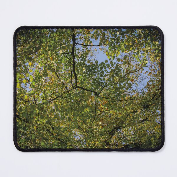 Item preview, Autumn foliage designed and sold by Arc1.
