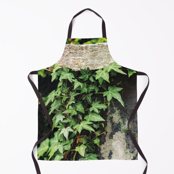 Item preview, Hedera on concrete 1 designed and sold by Arc1.