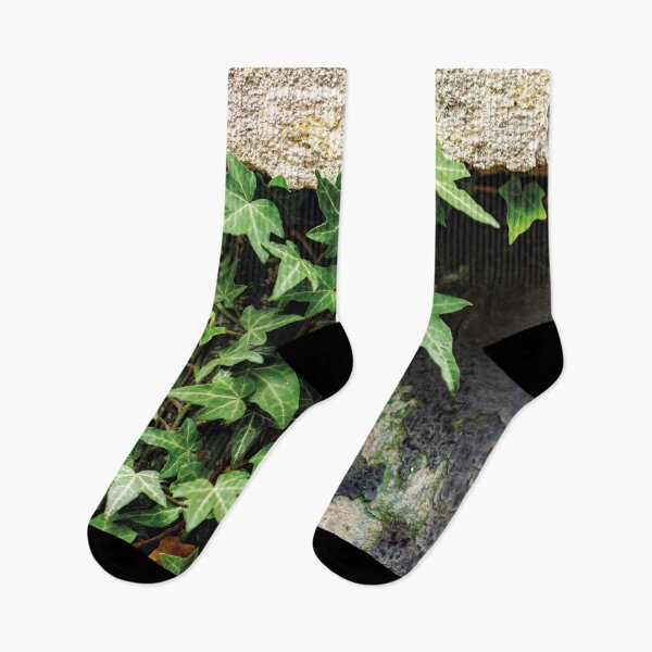Item preview, Hedera on concrete 1 designed and sold by Arc1.