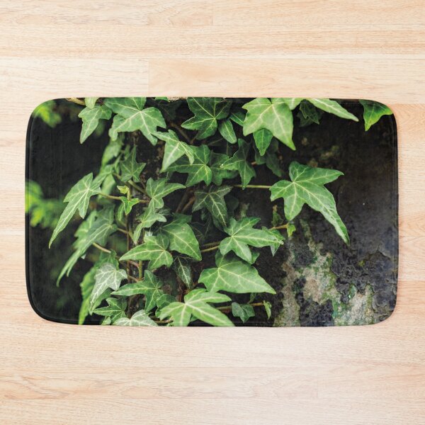 Item preview, Hedera on concrete 1 designed and sold by Arc1.