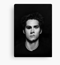 Void Stiles Canvas Print