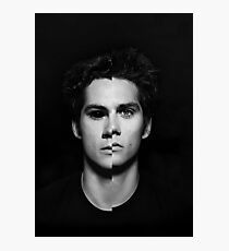 Void Stiles Photographic Print