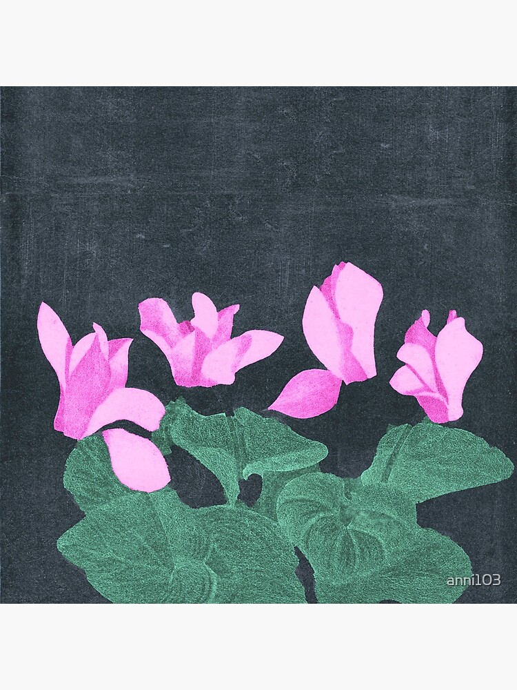 Cyclamen by anni103