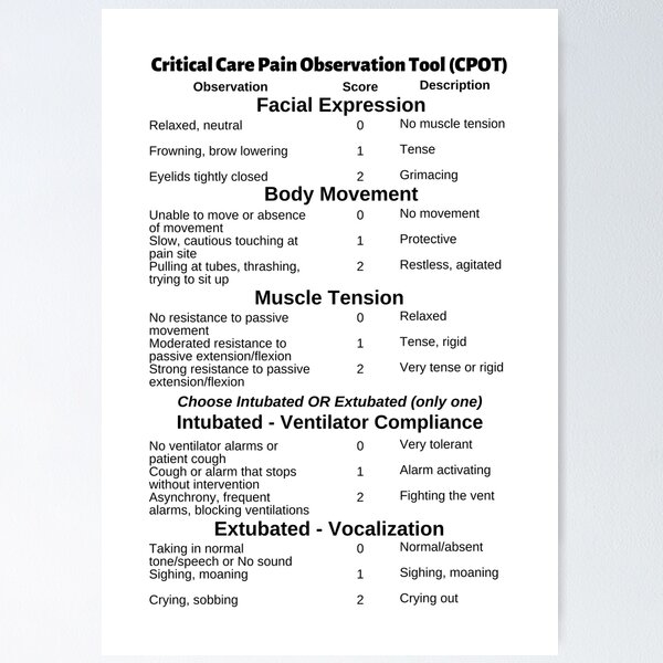 Wong-Baker FACESÂ® Pain Rating Scale Cardstock Poster 5 by 14