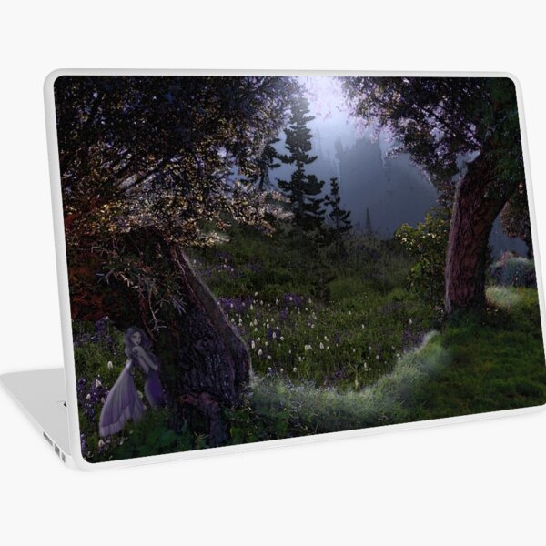 Macbook Air 13" (2015)