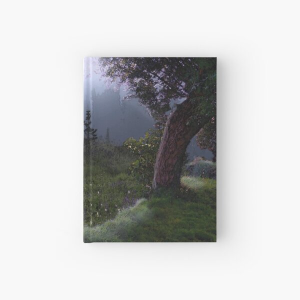 Hardcover Journal