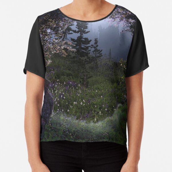 Chiffon Top
