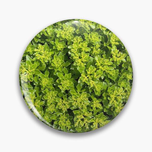 Item preview, Lush Green Leaves designed and sold by DanaAndTheBooks.