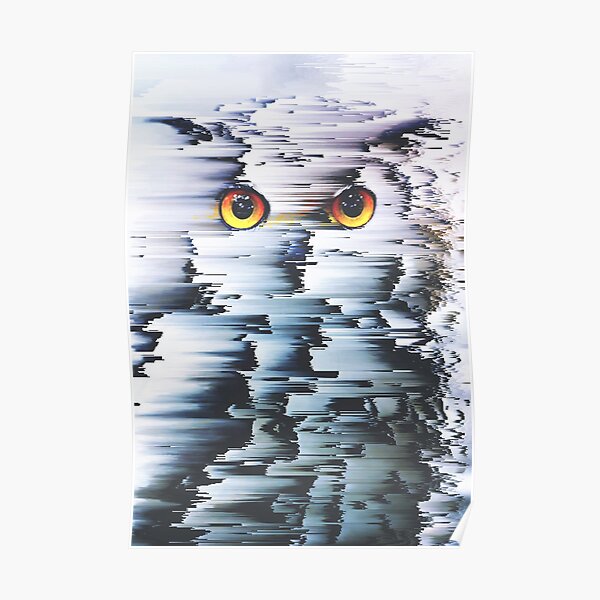 Owl Poster