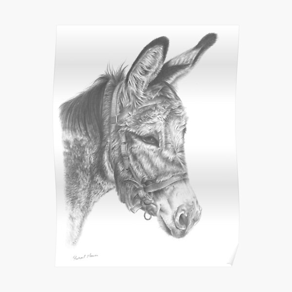 Donkey Poster