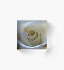 White Rose Flower Acrylic Block