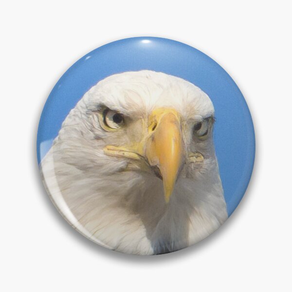 Item preview, Eagle   designed and sold by rmyerphoto.