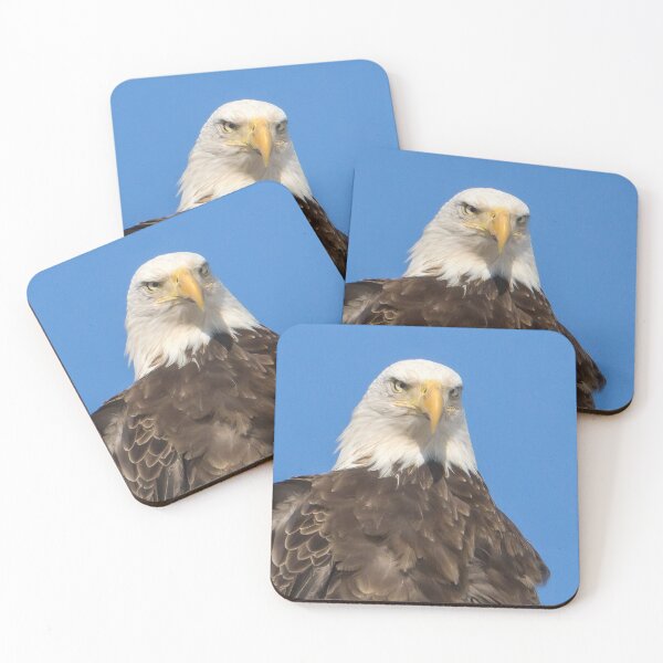 Item preview, Eagle   designed and sold by rmyerphoto.