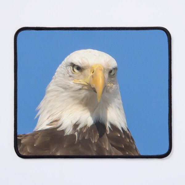 Item preview, Eagle designed and sold by rmyerphoto.