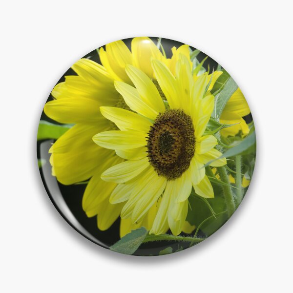 Item preview, Sunflowers Beautiful designed and sold by rmyerphoto.