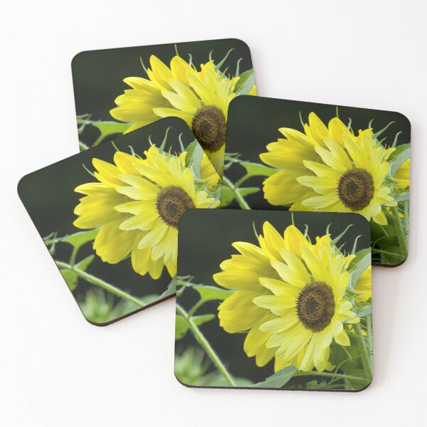 Item preview, Sunflowers Beautiful designed and sold by rmyerphoto.