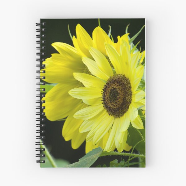 Item preview, Sunflowers Beautiful designed and sold by rmyerphoto.